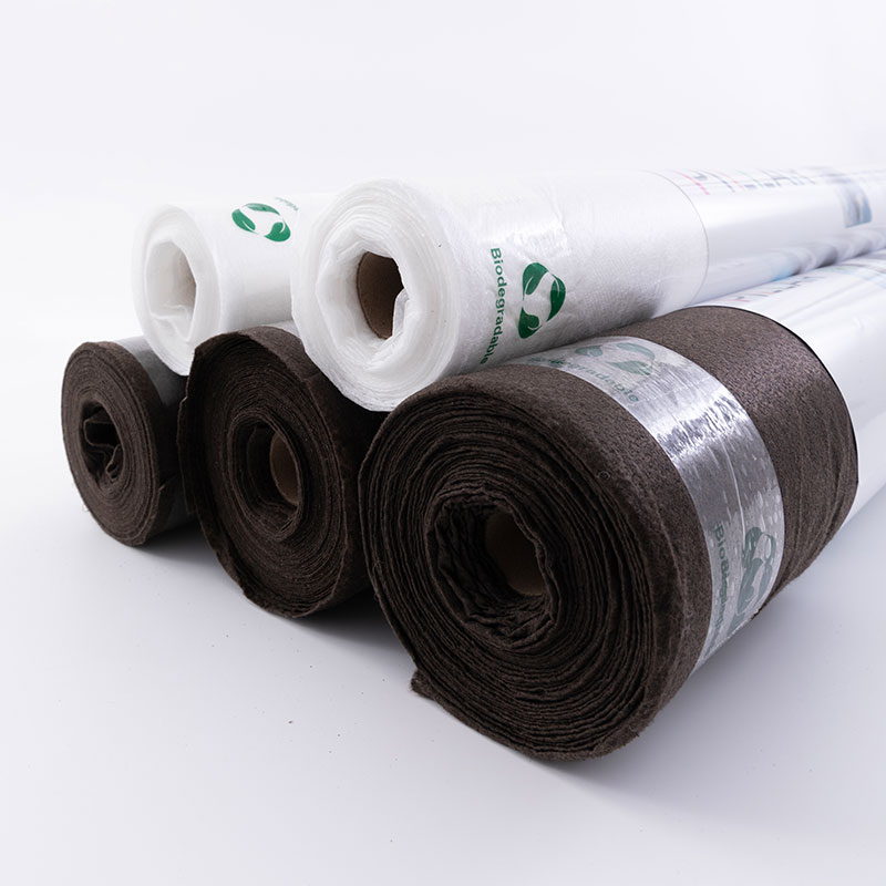 Why Choose Biodegradable Weed Control Solutions? Why Choose Biodegradable Weed Control Solutions?