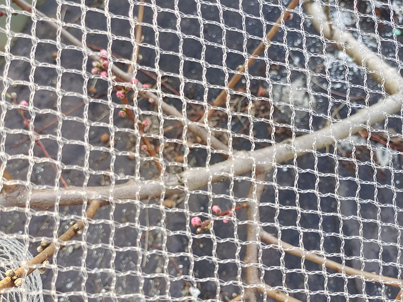 PLA Bird Netting1