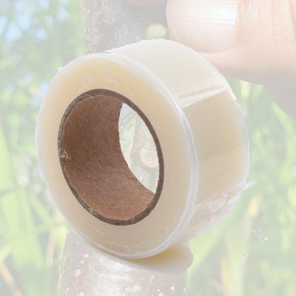 Eco Clear Grafting Tape