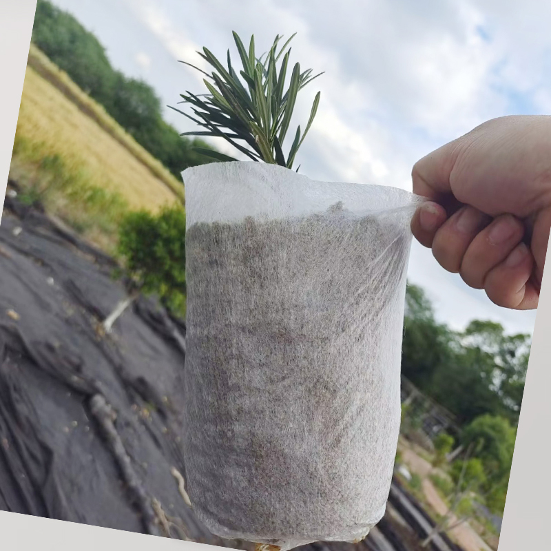 PLA Biodegradable Non-woven Nursery Bags