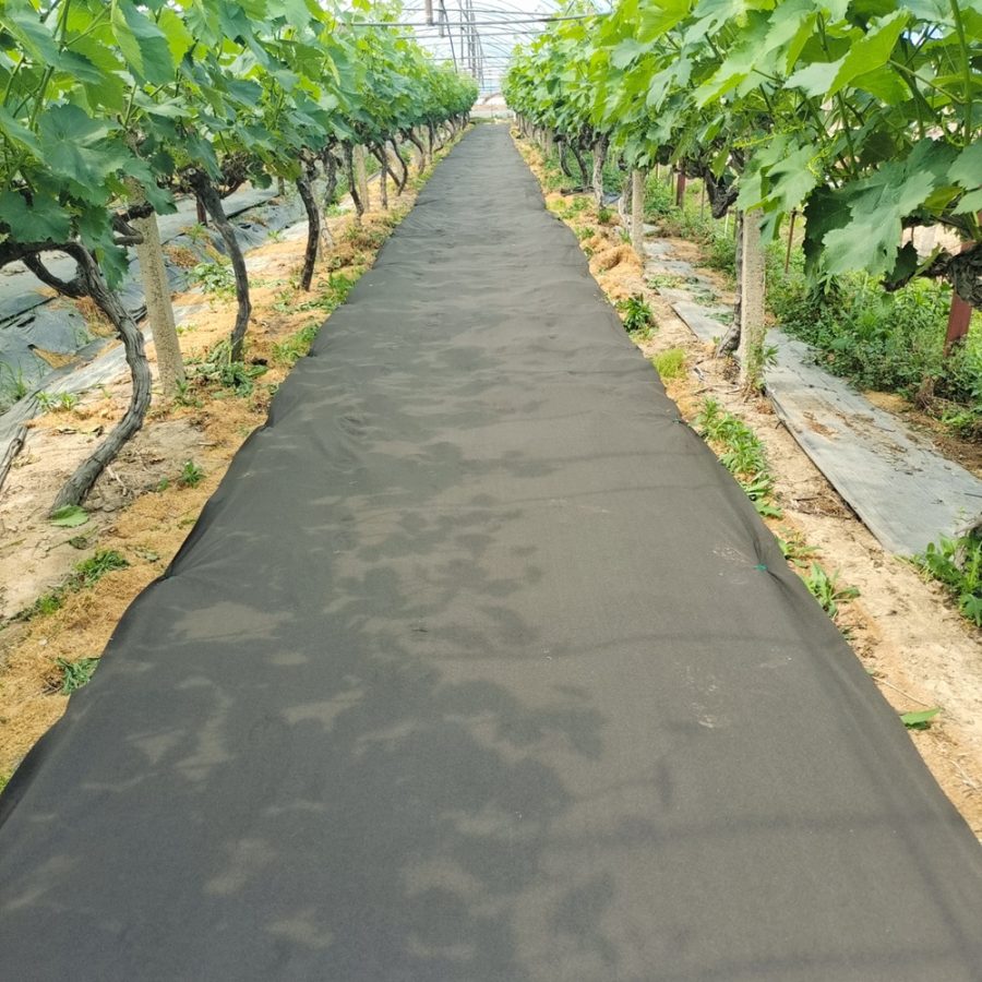 🌿 Time to Rethink Weed Control – Go Green with Biodegradable PLA Weed Mat 🌿 🌿 Time to Rethink Weed Control – Go Green with Biodegradable PLA Weed Mat 🌿