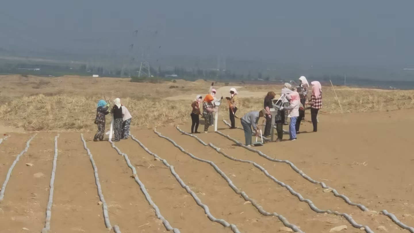 Combating Desertification with Biodegradable Innovation