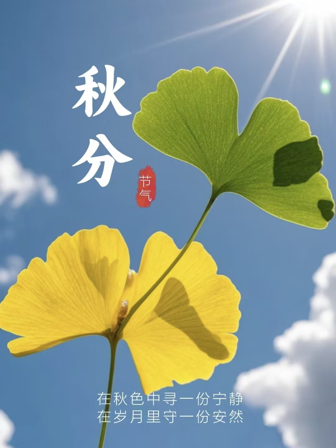 Balance in Nature: Autumn Equinox and PLA Weed Mat