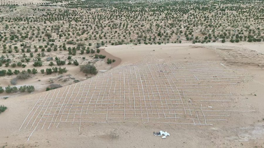 Mid-Autumn: Planting Hope in the Desert of Minqin2