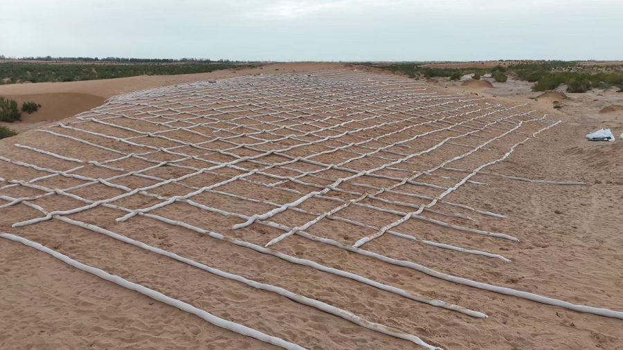 Mid-Autumn: Planting Hope in the Desert of Minqin1