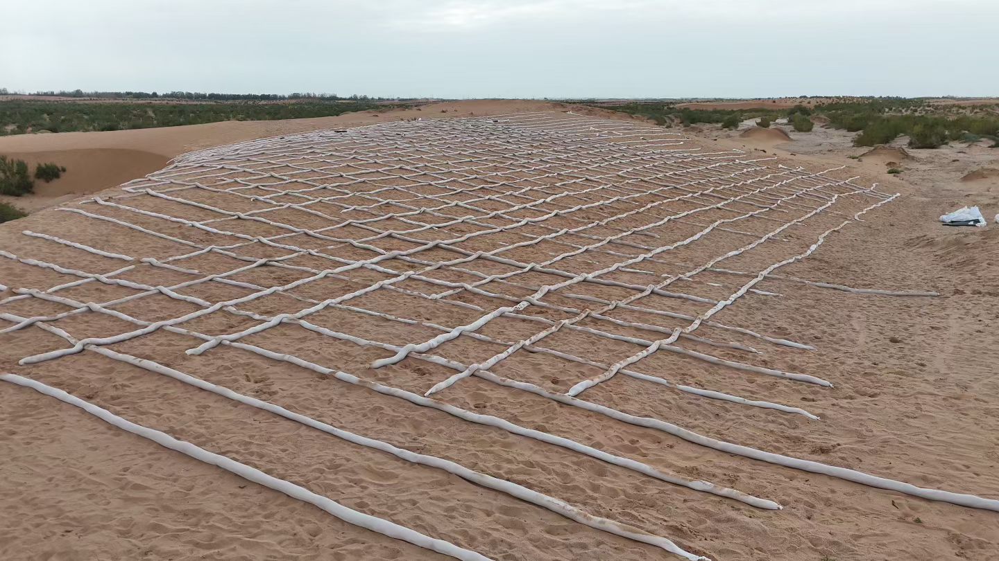 Mid-Autumn: Planting Hope in the Desert of Minqin