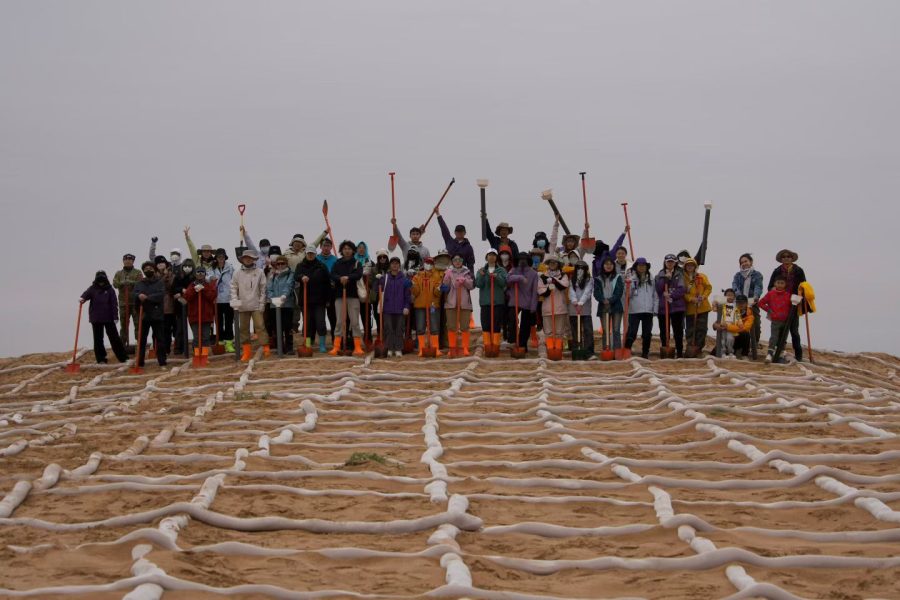 Mid-Autumn: Planting Hope in the Desert of Minqin
