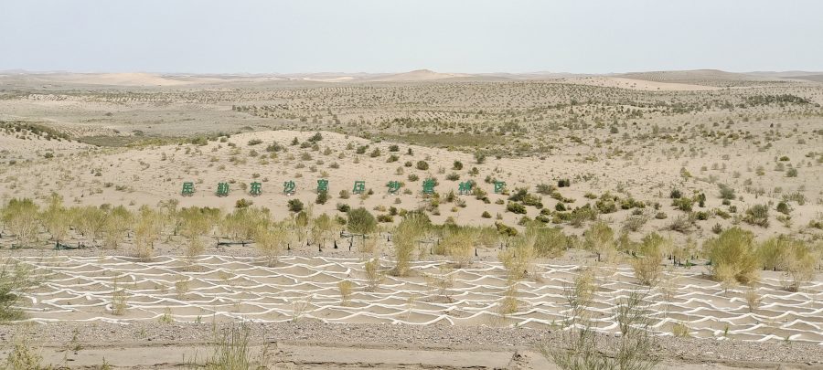 لماذا تحتاج الصحاري إلى حواجز رملية - ولماذا يغير جيش التحرير الشعبي الفلسطيني اللعبة